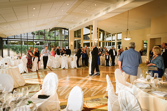 JIP-Ross-Wedding-090917-249