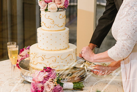 JIP-Ross-Wedding-090917-272