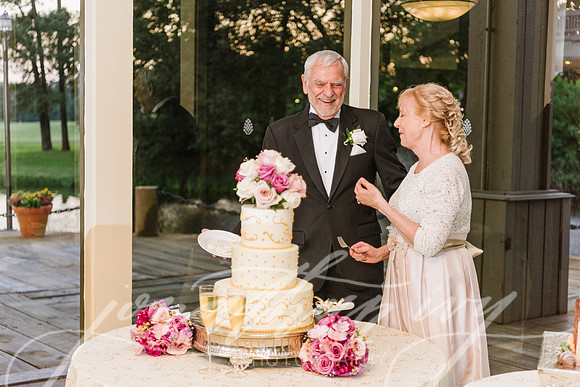 JIP-Ross-Wedding-090917-278