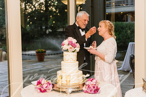 JIP-Ross-Wedding-090917-275