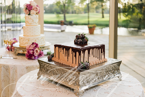 JIP-Ross-Wedding-090917-260
