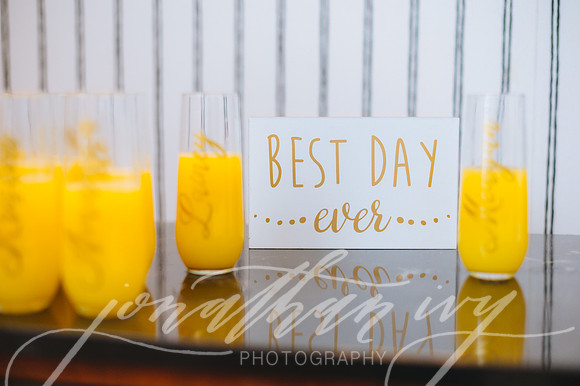JIP-Carlson-Wedding-011919-031