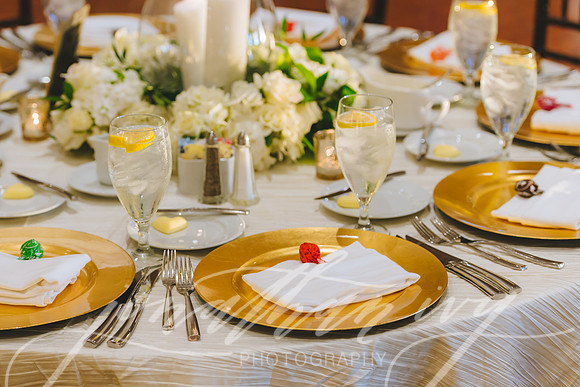 JIP-Carlson-Wedding-011919-377