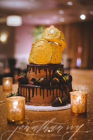 JIP-Carlson-Wedding-011919-384