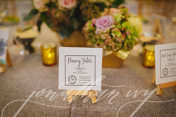 JIP-Morrisey-Wedding-031619-545