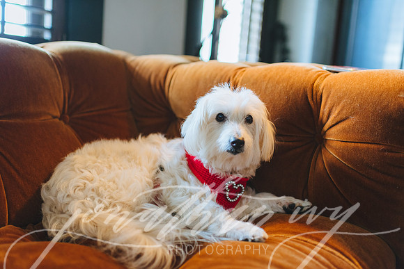 JIP-Morrisey-Wedding-031619-043