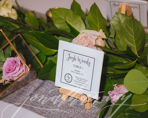 JIP-Morrisey-Wedding-031619-714