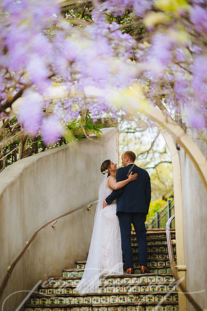 JIP-Morrisey-Wedding-031619-476