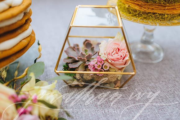 JIP-Morrisey-Wedding-031619-541