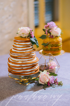 JIP-Morrisey-Wedding-031619-649
