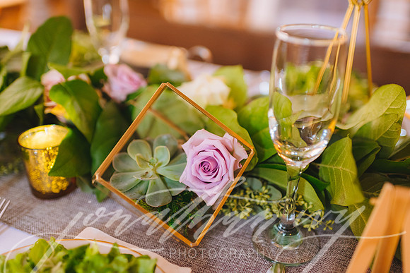 JIP-Morrisey-Wedding-031619-527