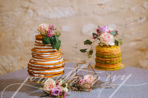 JIP-Morrisey-Wedding-031619-651