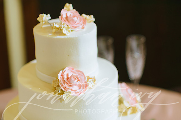JIP-Hook-Wedding-349