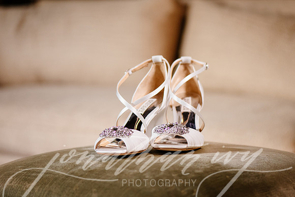JIP-Alleman-Wedding-014