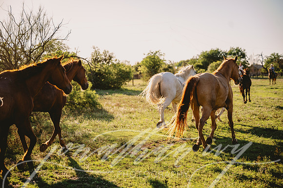 JIP-Lauren-Eric-Elopement-051723-090