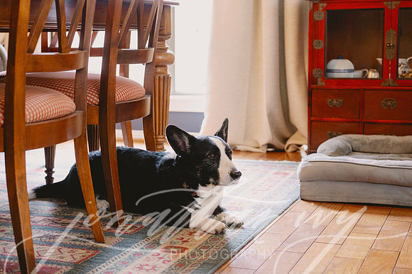 JonathanIvy-Spreier-Family-032323-24