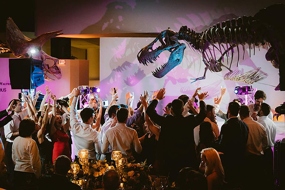houston-museum-of-natural-science-wedding-at-hmns