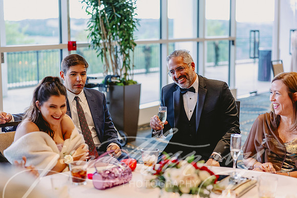 JIP-Elisa-Edwin-Wedding-113024-384