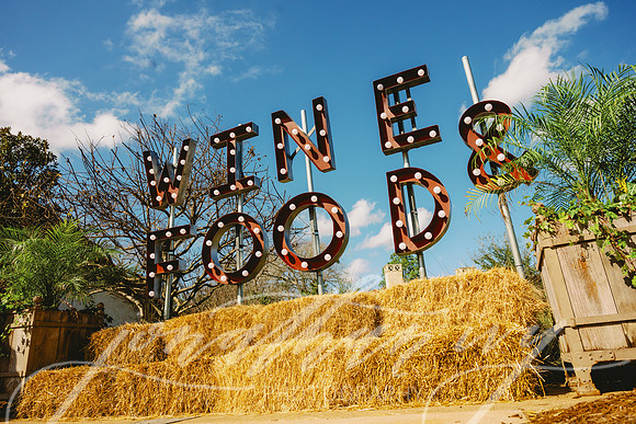 JIP-Houston-Oaks-Wine-Food-Classic-2025-129