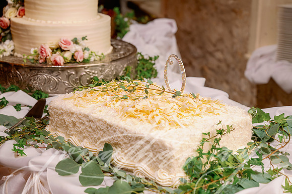 JIP-Leslie-Richard-Wedding-082623-041