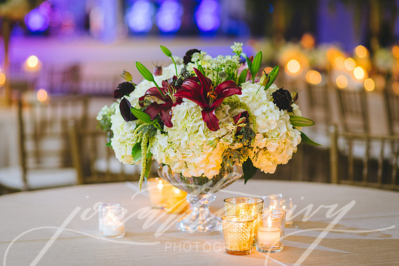 JIP-Newton-Wedding-364