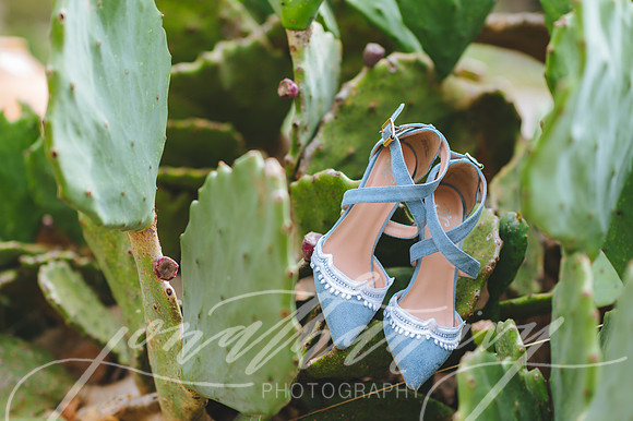 JIP-Chenausky-Wedding-032219-014