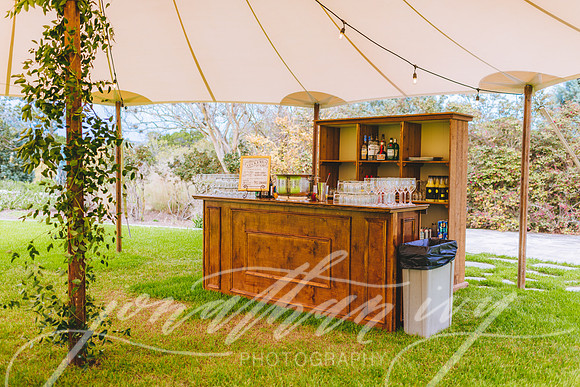 JIP-Chenausky-Wedding-032219-192