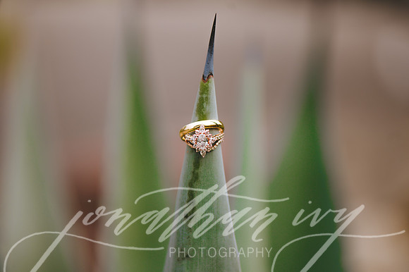 JIP-Chenausky-Wedding-032219-197