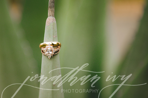 JIP-Chenausky-Wedding-032219-199