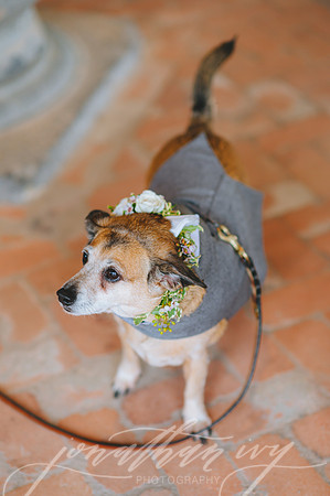 JIP-Chenausky-Wedding-032219-203