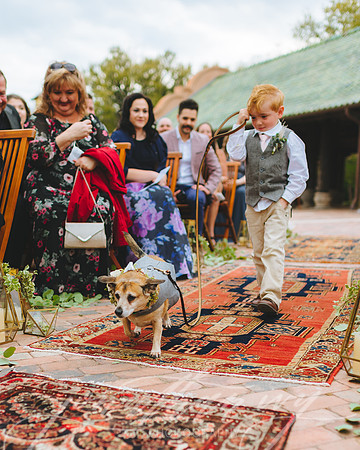 JIP-Chenausky-Wedding-032219-239