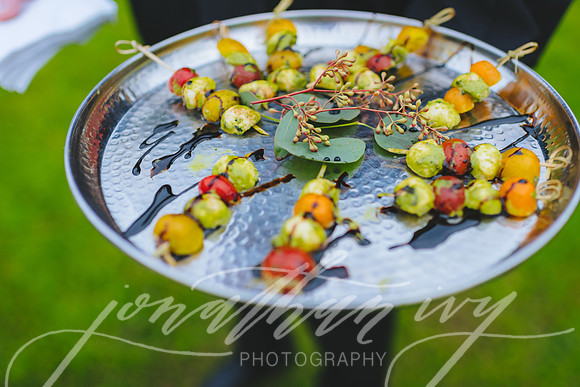 JIP-Chenausky-Wedding-032219-385
