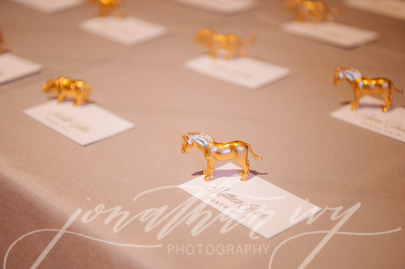 JIP-Chenausky-Wedding-032219-467