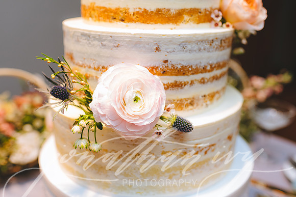 JIP-Chenausky-Wedding-032219-483