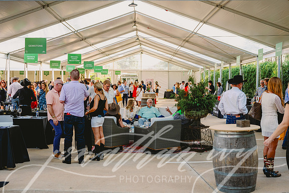 JIP-Houston-Oaks-Wine-Food-Classic-2025-171