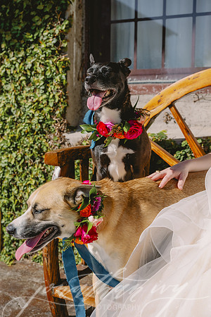JIP-Zoe-Bridal-032624-22