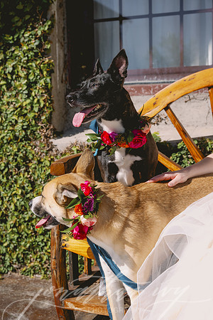 JIP-Zoe-Bridal-032624-23