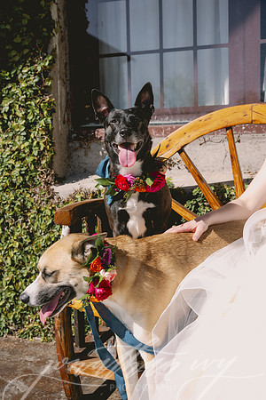 JIP-Zoe-Bridal-032624-24