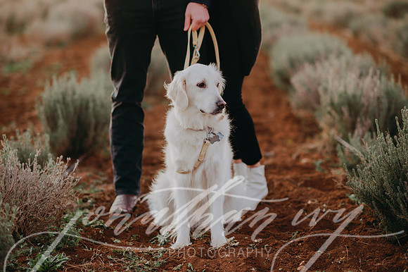 JIP-Kelsey-Bryce-Eng-122919-94