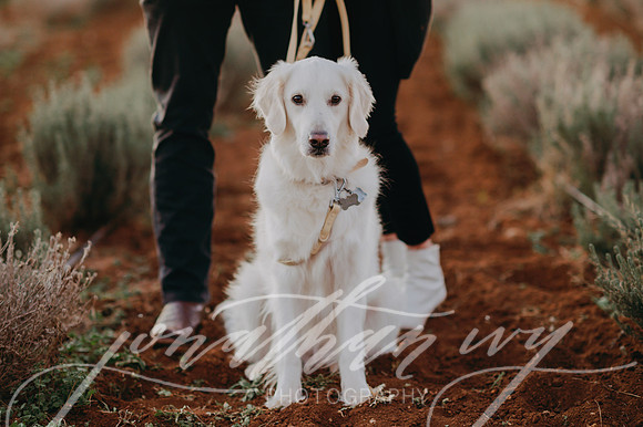 JIP-Kelsey-Bryce-Eng-122919-93