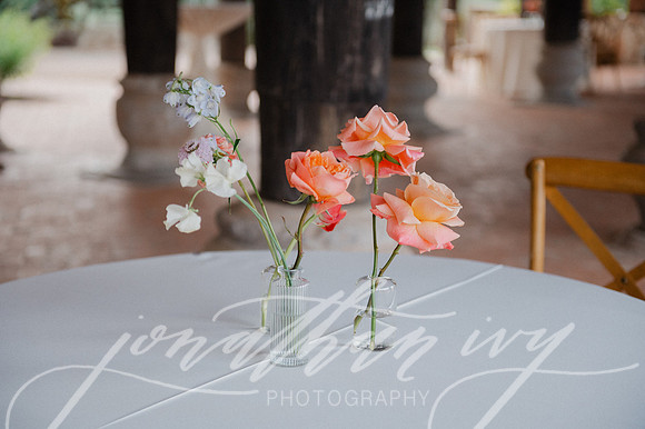 JIP-Megan-Cade-Wedding-053125-428