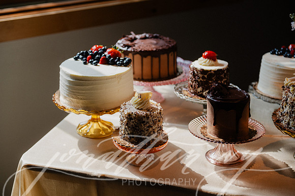JIP-Megan-Cade-Wedding-053125-251