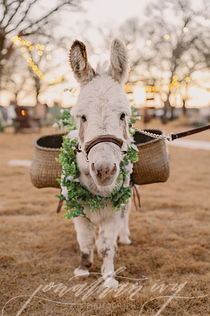 JIP-Hannah-Kyler-Reception-012123-080