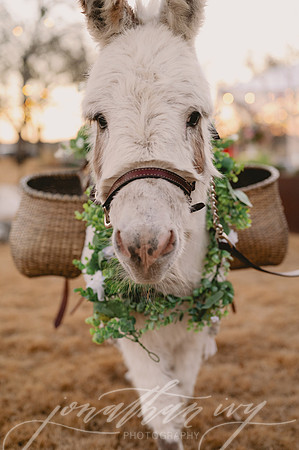 JIP-Hannah-Kyler-Reception-012123-078