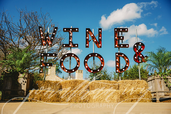 JIP-Houston-Oaks-Wine-Food-Classic-2025-130