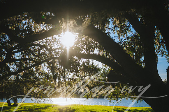 JIP-Butler-Wedding-122218-318