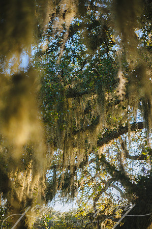 JIP-Butler-Wedding-122218-317