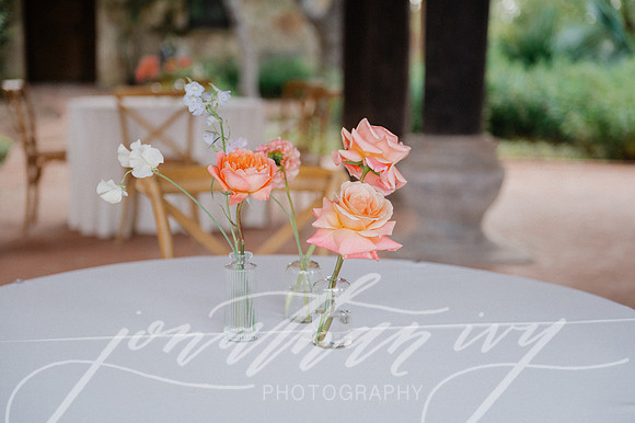 JIP-Megan-Cade-Wedding-053125-429